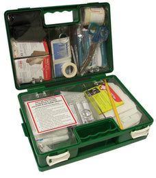 First Aid Kit, Wall Mounted, 1-25 Person, Hard Plastic Case, Great Value RMFA125WM