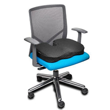 Back Rests & Support