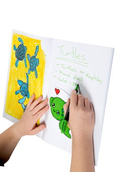 Spirax 152 325mm x 245mm Polypropylene Cover Scrapbook 64 Pages x Pack of 10