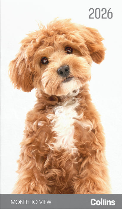 2026 Collins Slim Diary, One Month to View, Cats & Dogs, Assorted Covers, 90mm x 155mm