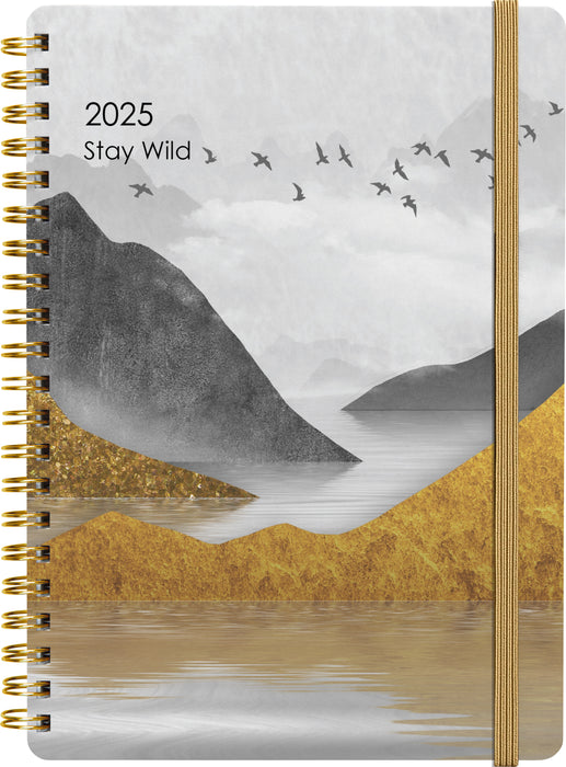 2025 Collins Diary A51, Day Per Page, Contemporary Art, Assorted Design Cover, 148mm x 210mm