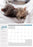 2025 Collins A4 Wall Calendar, Cats & Dogs, 210mm x 300mm