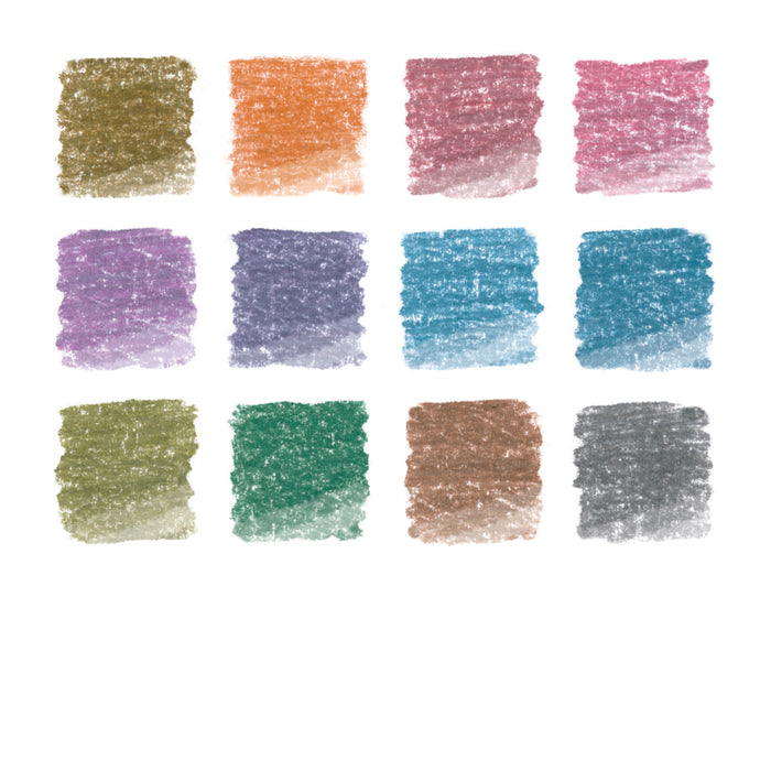 Staedtler Design Journey Coloured Pencil Metallic Assorted, Pack of 12 in a tin