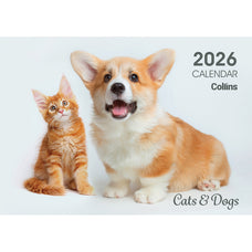 2026 Collins A4 Wall Calendar, Cats & Dogs, 210mm x 300mm
