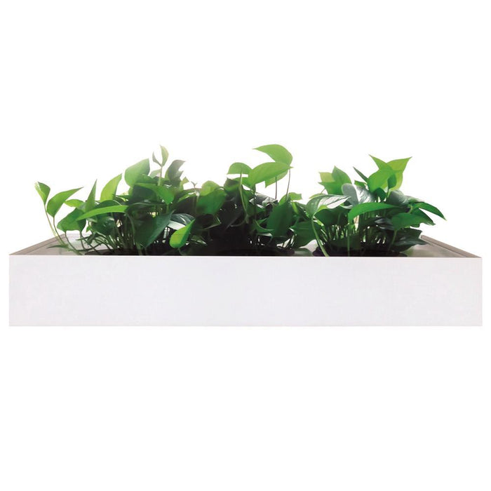 1600mm Planter Box - Matt White MG_J_TAMPL1618_W