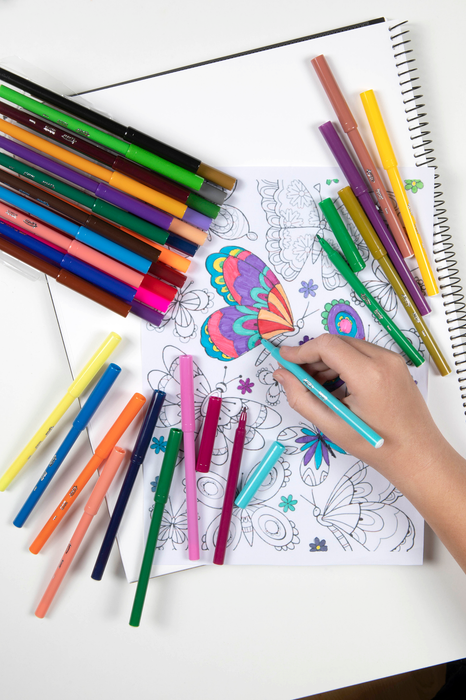 Texta Nylorite Color Markers Pack of 36