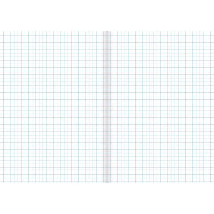 1E8 Warwick Exercise Book Quad 7mm CX113612