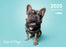 2025 Collins A4 Wall Calendar, Cats & Dogs, 210mm x 300mm CX11968264