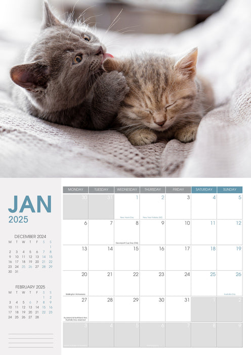 2025 Collins A4 Wall Calendar, Cats & Dogs, 210mm x 300mm CX11968264