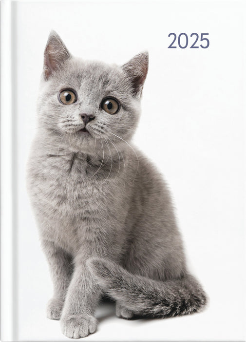 2025 Collins A51 Cats & Dogs Day to View Diary, Assorted Design Cover, 148mm x 210mm CX439829