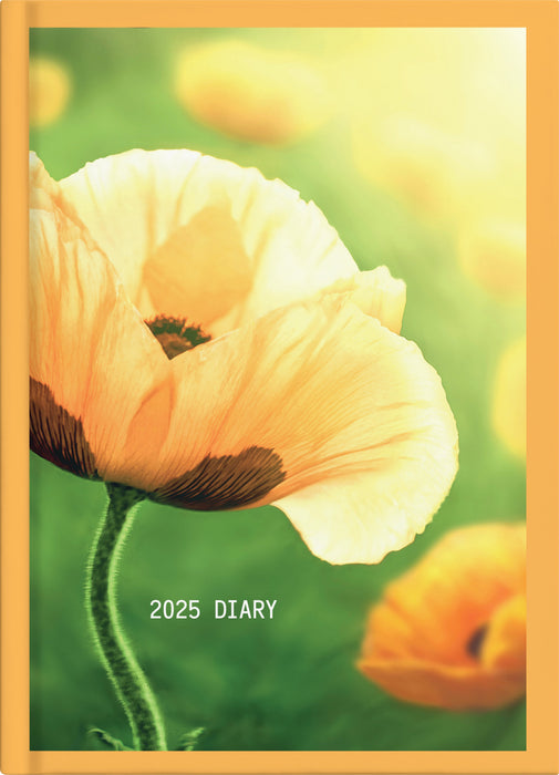 2025 Collins A51 Floral Day to Page Diary, Assorted Design Cover, 148mm x 210mm CX438272