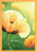 2025 Collins A51 Floral Day to Page Diary, Assorted Design Cover, 148mm x 210mm CX438272