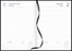 2025 Collins A51 Kiwi Country Day to Page Diary, Assorted Design Cover, 148mm x 210mm CX439711