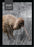 2025 Collins A51 NZ Birds Day to Page Diary, Assorted Design Cover, 148mm x 210mm CX438372