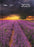 2025 Collins A51 NZ Majestic Landscapes Day to Page Diary, Assorted Design Cover, 148mm x 210mm CX438630
