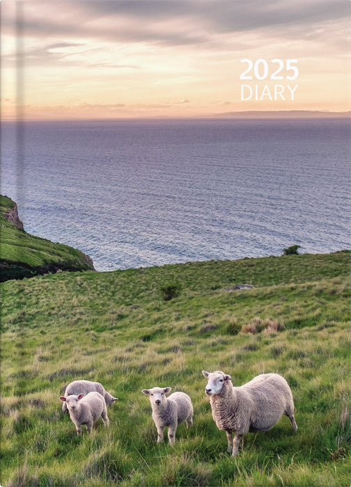 2025 Collins Diary A51, Day Per Page, Coastal Scenes, Assorted Design Cover, 148mm x 210mm CX438271