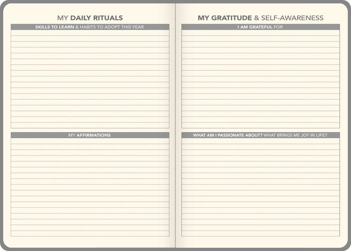 2025 Collins Diary A51, Day Per Page, Laminated Hard Cover, Gratitude & Goals, Assorted Design Cover, 148mm x 210mm CX11967589