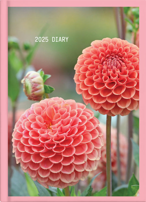 2025 Collins Diary A61, Day Per Page, Floral, Assorted Covers, 148mm x 210mm CX378315