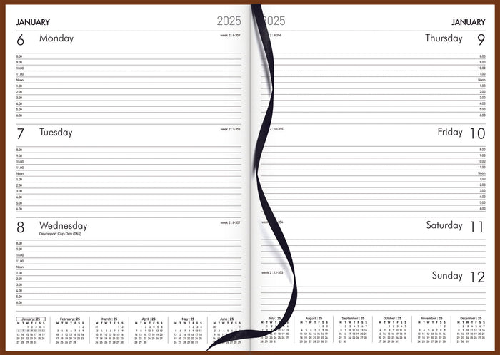 2025 Collins Rhapsody A43 Appointment Diary, Week To View, Soft Touch Skiver PU Cover, Cappuccino, 210mm x 297mm CX11927592