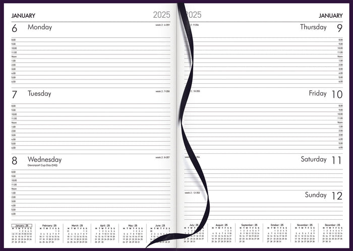 2025 Collins Rhapsody A43 Appointment Diary, Week To View, Soft Touch Skiver PU Cover, Maroon, 210mm x 297mm CX11927591