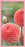 2025 Collins Slim Pocket Diary CW7, Week To View with Notes Page, Assorted Covers, Floral, 80mm x 152mm CX150604