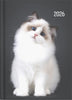 2026 Collins A51 Cats & Dogs Diary, Day to Page, 148mm x 210mm CX439717