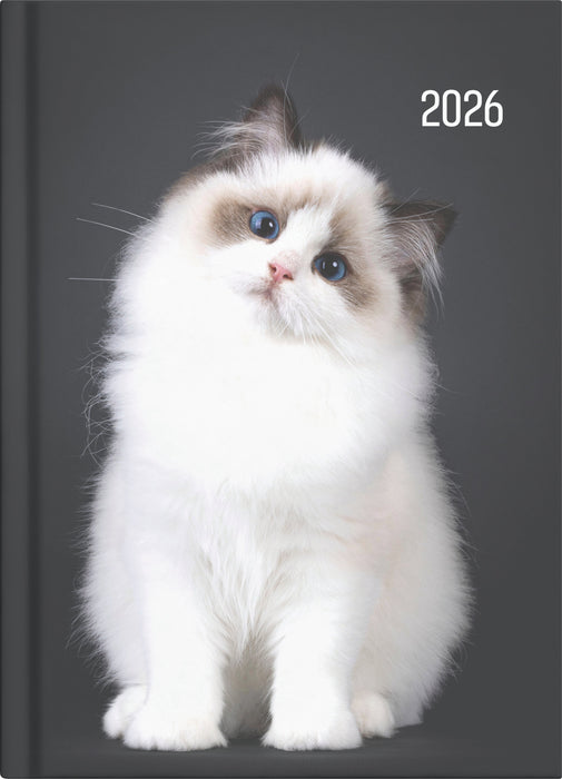2026 Collins A51 Cats & Dogs Diary, Day to Page, 148mm x 210mm CX439717