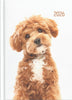 2026 Collins A53 Diary Cats & Dogs Diary, Week to View, 148mm x 210mm CX110344