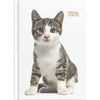 2026 Collins A53 Diary Cats & Dogs Diary, Week to View, 148mm x 210mm CX110344
