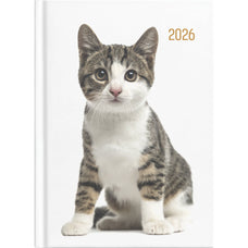 2026 Collins A53 Diary Cats & Dogs Diary, Week to View, 148mm x 210mm CX110344