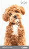 2026 Collins Slim Diary, One Month to View, Cats & Dogs, Assorted Covers, 90mm x 155mm CX11296187