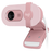 Logitech Brio 100 Webcam - ROSE