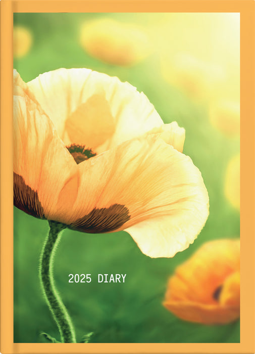 2025 Collins Diary A61, Day Per Page, Floral, Assorted Covers, 148mm x 210mm