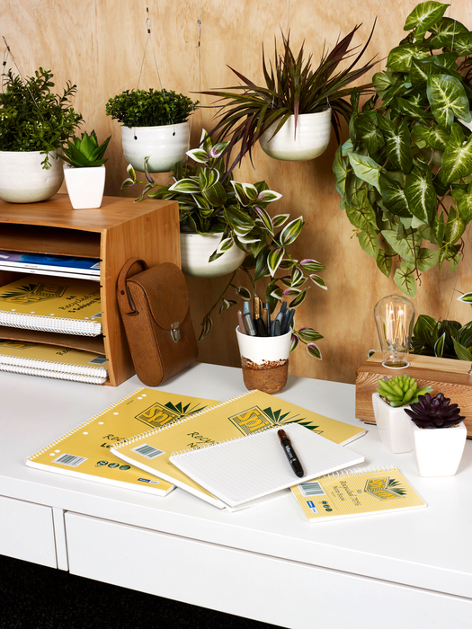 Spirax 802 A4 Glue Bound Graph Book 2mm 25 Leaf x Pack of 10