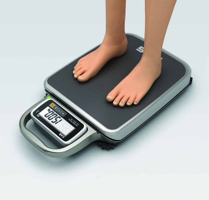 CAS PB Portable Digital Bench Scale 30/60kg x 10/20g – PB-60