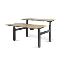 Enhance 1600mm x 800mm Electric Shared Standing Desk – Black / Autumn Oak, Height Adjustable