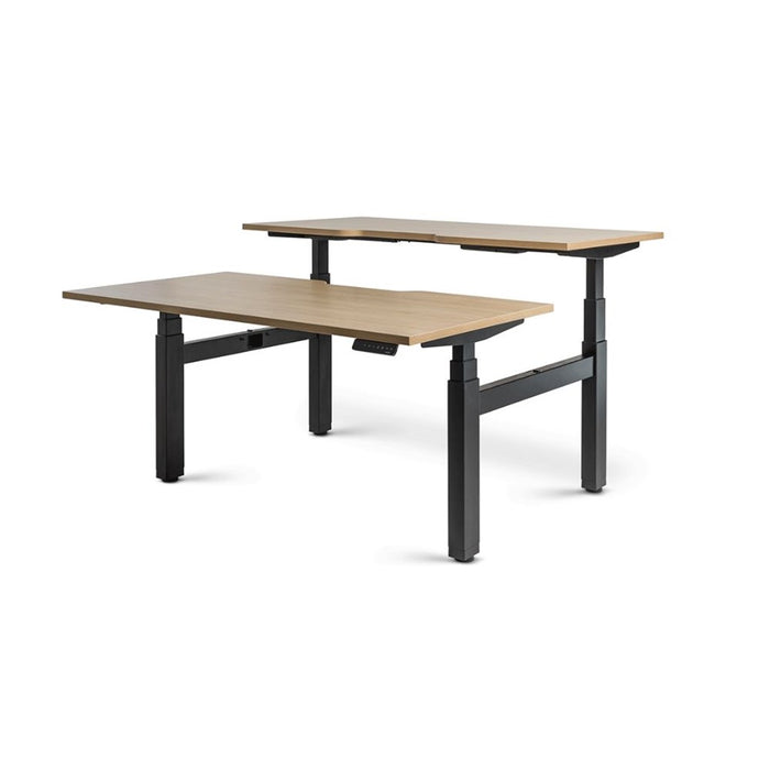 Enhance 1500mm x 800mm Electric Shared Standing Desk – Black / Autumn Oak, Height Adjustable