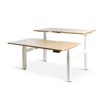 Enhance 1500mm x 800mm Electric Shared Standing Desk – White / Autumn Oak, Height Adjustable