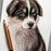 Koh-I-Noor Gioconda Art Set 5 Pencils/Blender (9035)