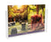 A3 Wall Mountable Brochure Holder - Landscape LX39623