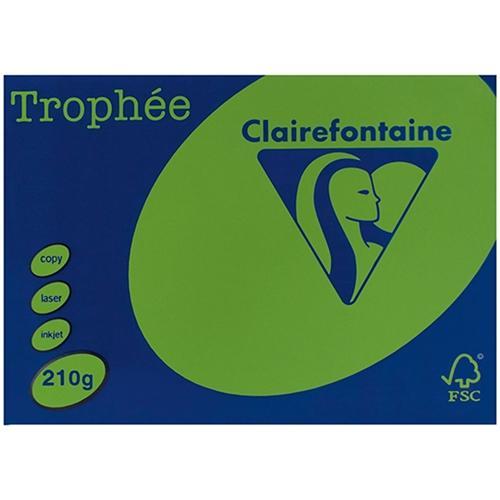 A4 210gsm Trophee Card Bright Green x 100's Pack DP15785