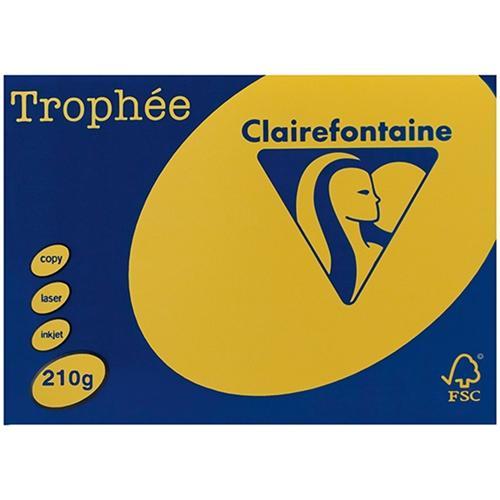 A4 210gsm Trophee Card Bright Yellow x 100's Pack DP15781