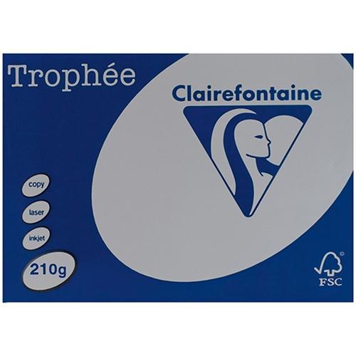 A4 210gsm Trophee Card Grey x 100's Pack DP15813