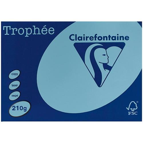 A4 210gsm Trophee Card Pastel Blue x 100's Pack DP15778