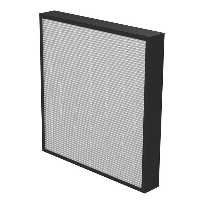 AeraMax PRO AM3-4 HEPA Filter with Antimicrobial Treatment, Pack of 2 FPF9416602