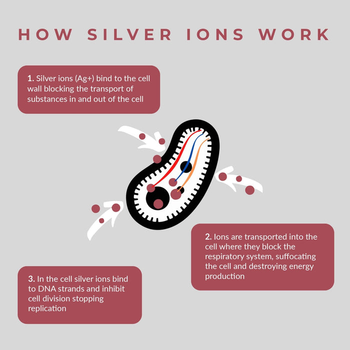 Anti-Microbial Porcelain Whiteboard 600 x 900mm BVWCAM0609