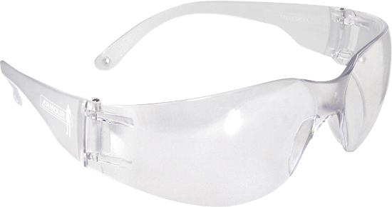 Armour Safety Glasses, Clear, 12 Pack RMEYECLEAR
