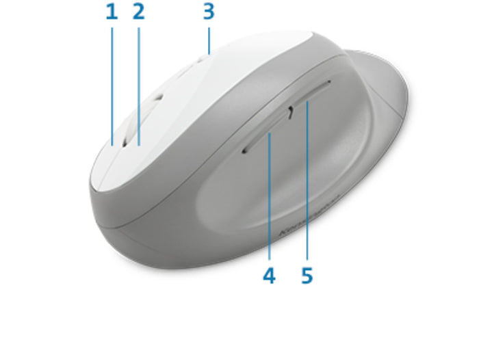 Kensington Pro Fit Ergo Dual Wireless Desktop Set, Keyboard & Mouse, Gray, Wrist Support, Ergonomic