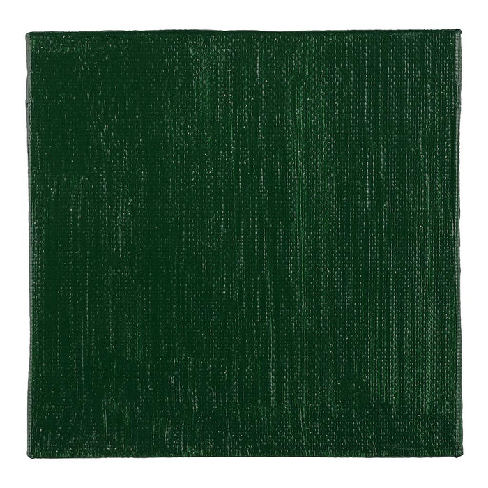 BLOCKX Acrylic Tube Sap Green 120ml FPC60656BXC