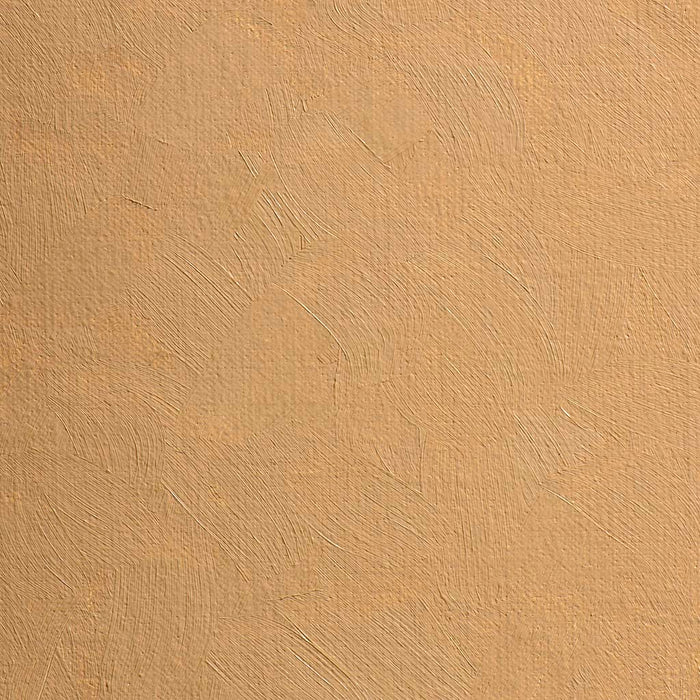 BLOCKX Oil Tube 20ml S1 117 Italian Earth FPC212117BXC